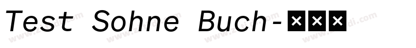 Test Sohne Buch字体转换